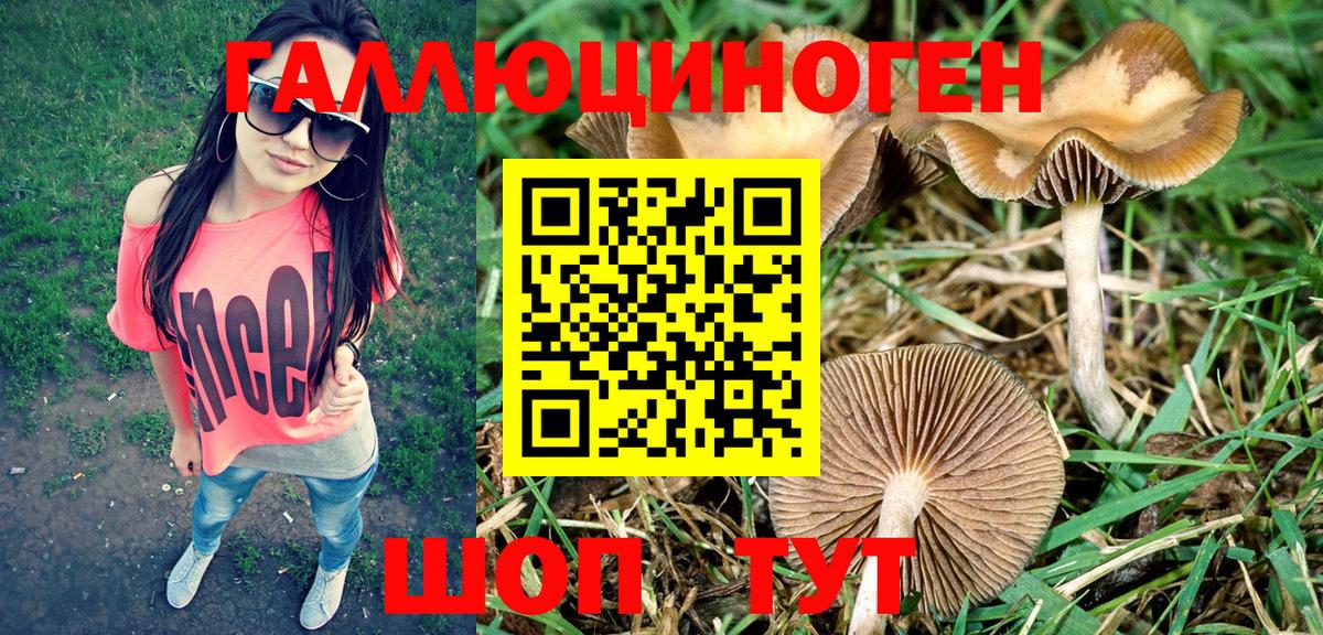 Псилоцибиновые грибы ЛСД  Галлюциногенные грибы Psilocybe  Железноводск  Вход с VPN 